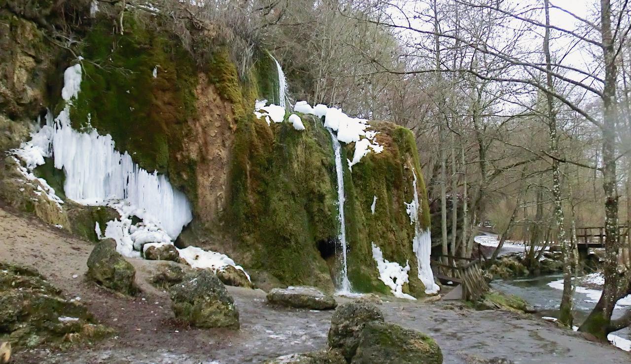 Hotel Am Park Stadtkyll Dış mekan fotoğraf